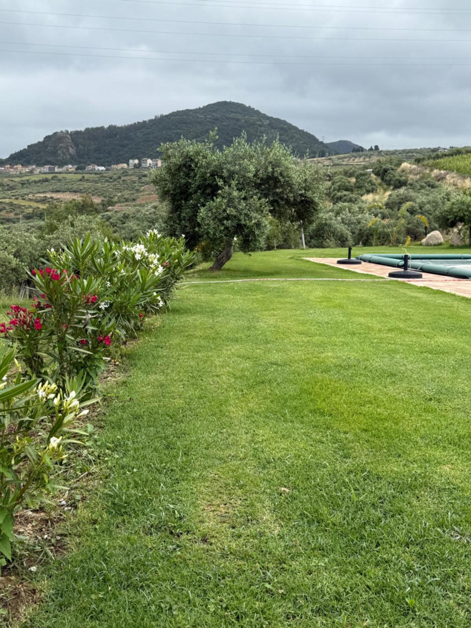 Agrolea Hotel Terme Vigliatore Ngoại thất bức ảnh